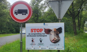 Uitbraak AVP in Duitsland nog niet onder controle
