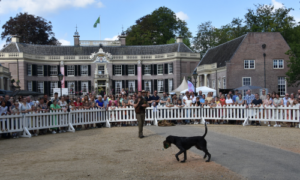 Veel geïnteresseerde bezoekers op Terdege Zomerfestival