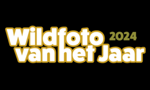 Doe mee met de Wildfoto van het Jaar 2024