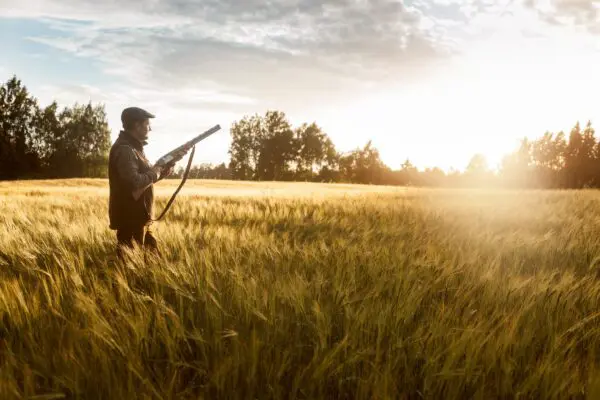 Jager met geweer in een graanveld bij zonsondergang