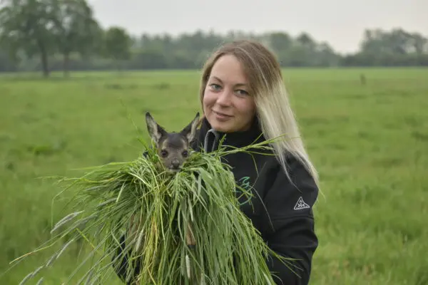 Vrouwelijke jager redt reekalfje