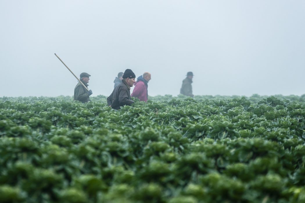 Groep jagers in het veld