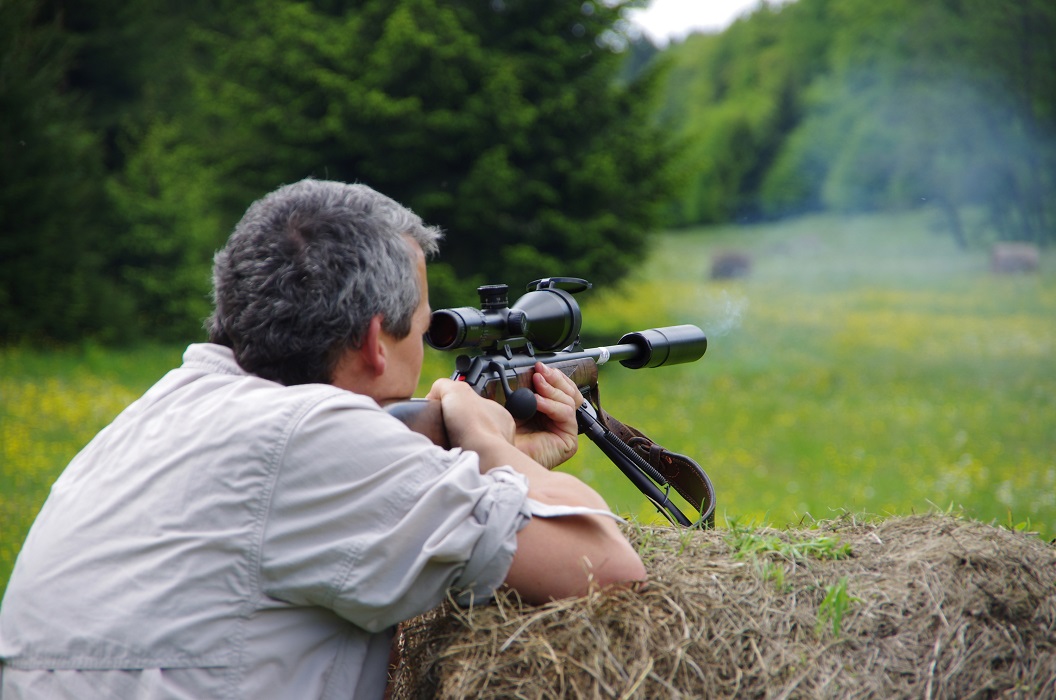 Geluidsdempers voor jagers in Schleswik-Holstein toegestaan