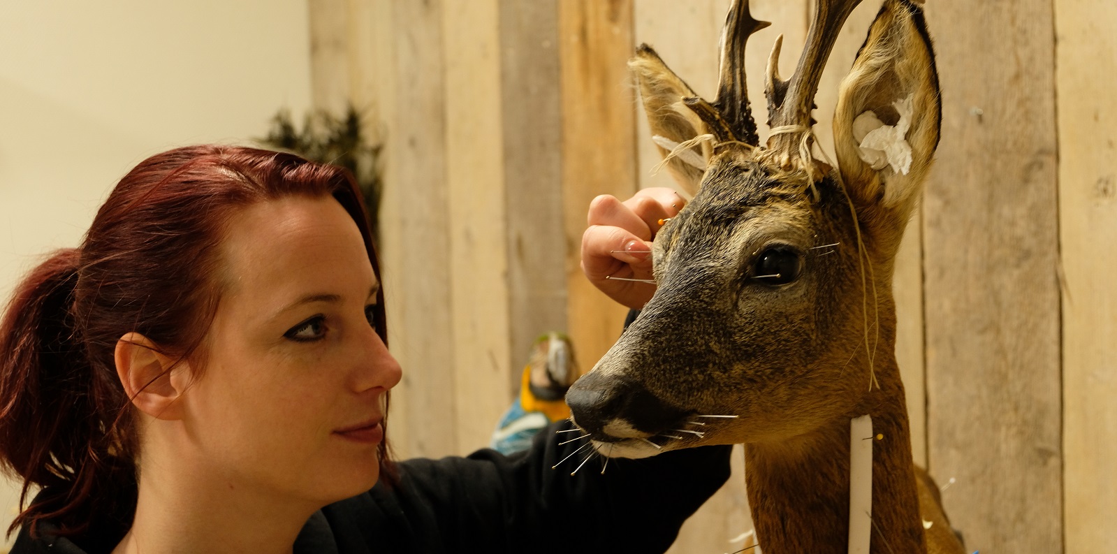 Prepareren van dieren_Myrthe de Bruin