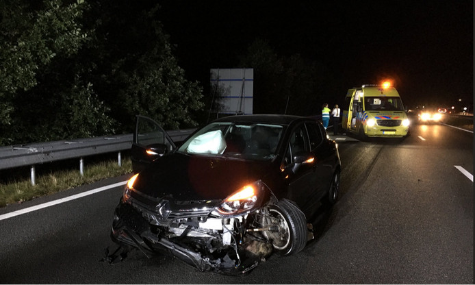 Personenauto rijdt troep wilde zwijnen dood op A2