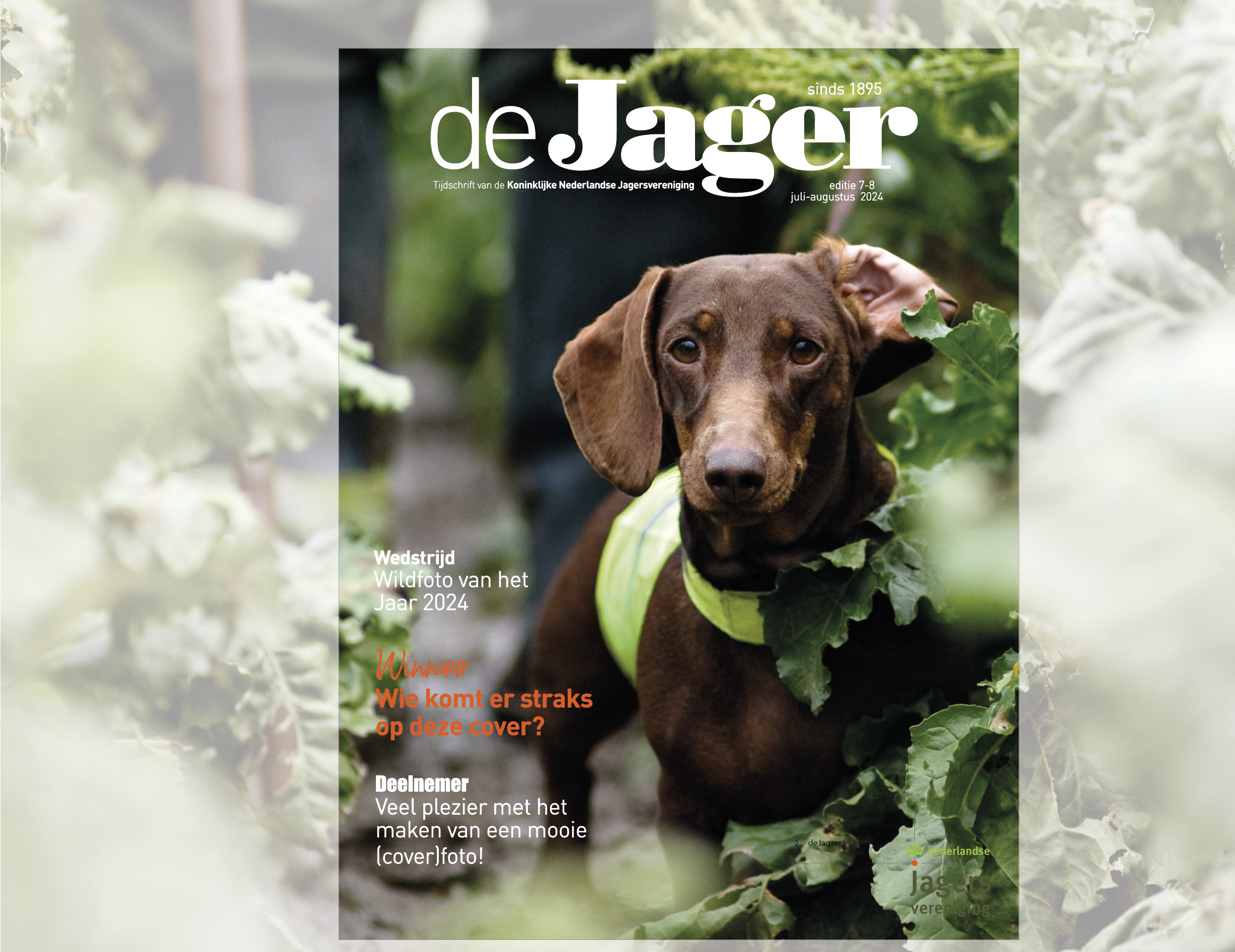 Voorbeeld liggende foto