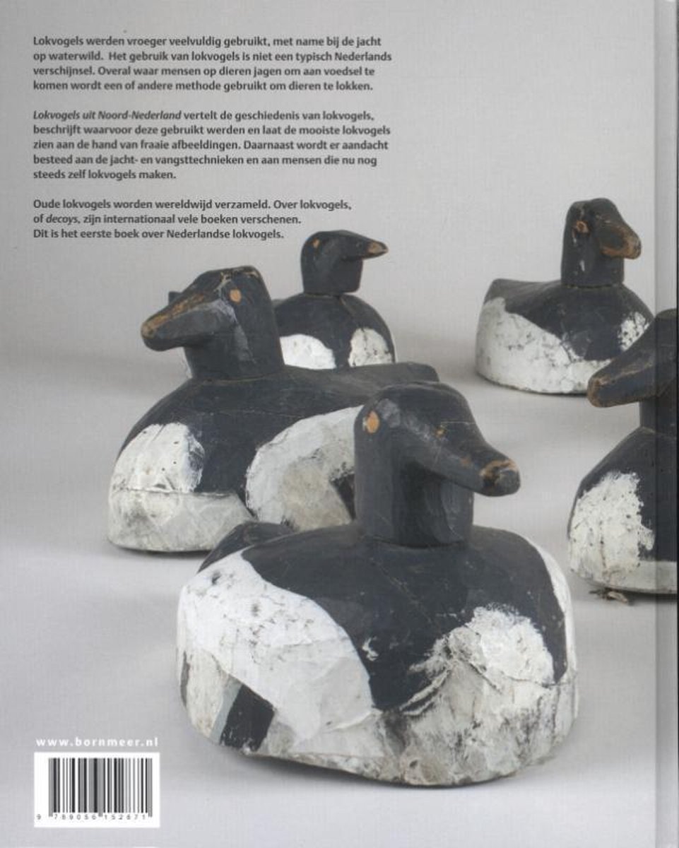 Lokvogels - Afbeelding 2