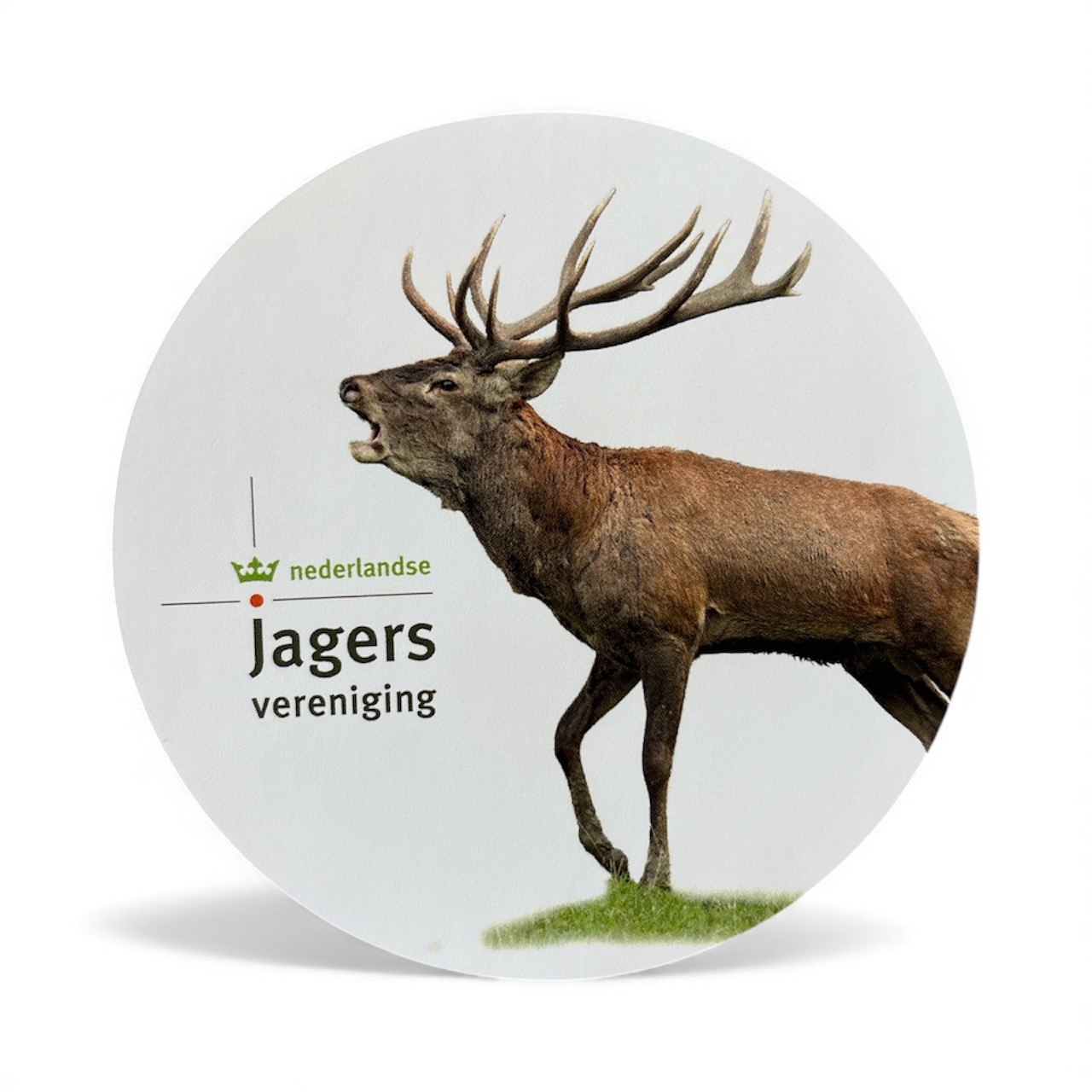 Stickerpakket | 12 ronde stickers met wildmotief - Afbeelding 6