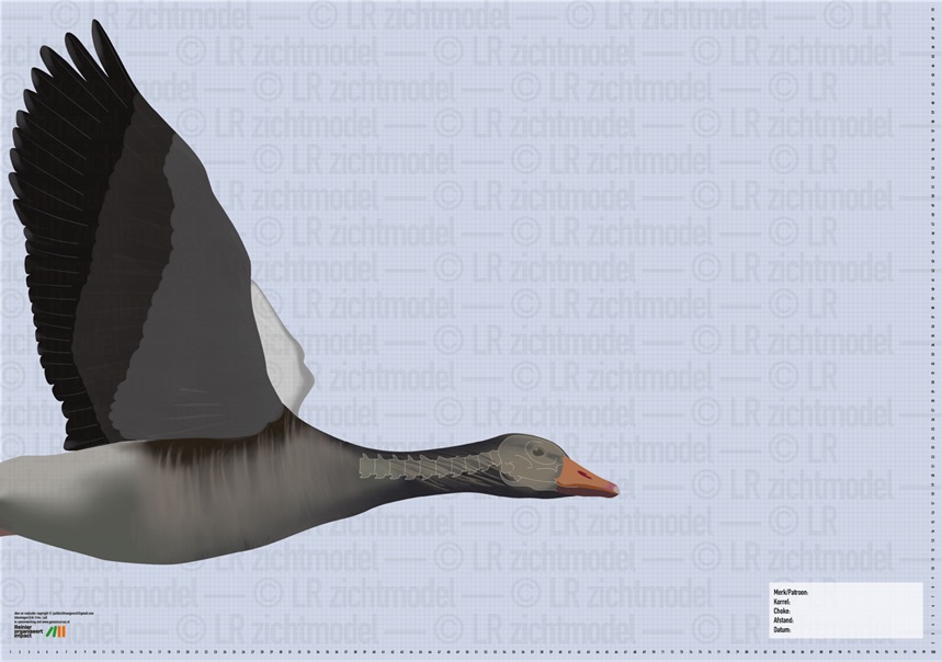 Ganzenschietschijf | 1 stuk