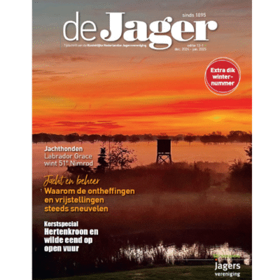 Afbeelding voor keuze nummer 11