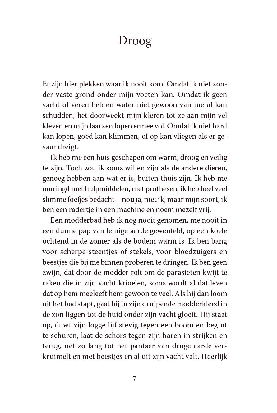 De Poel - Afbeelding 3