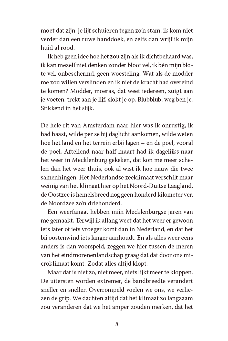 De Poel - Afbeelding 4