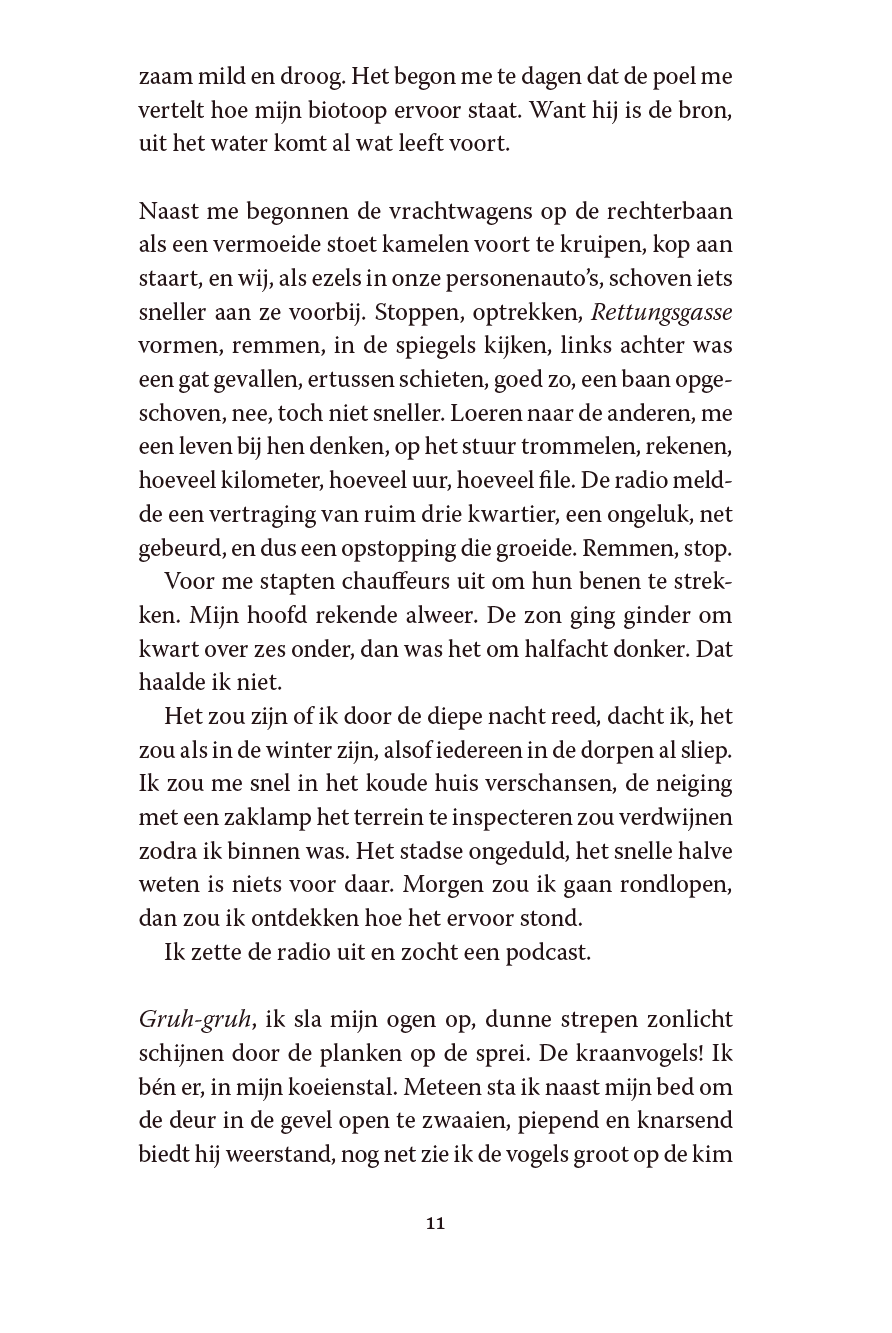 De Poel - Afbeelding 7