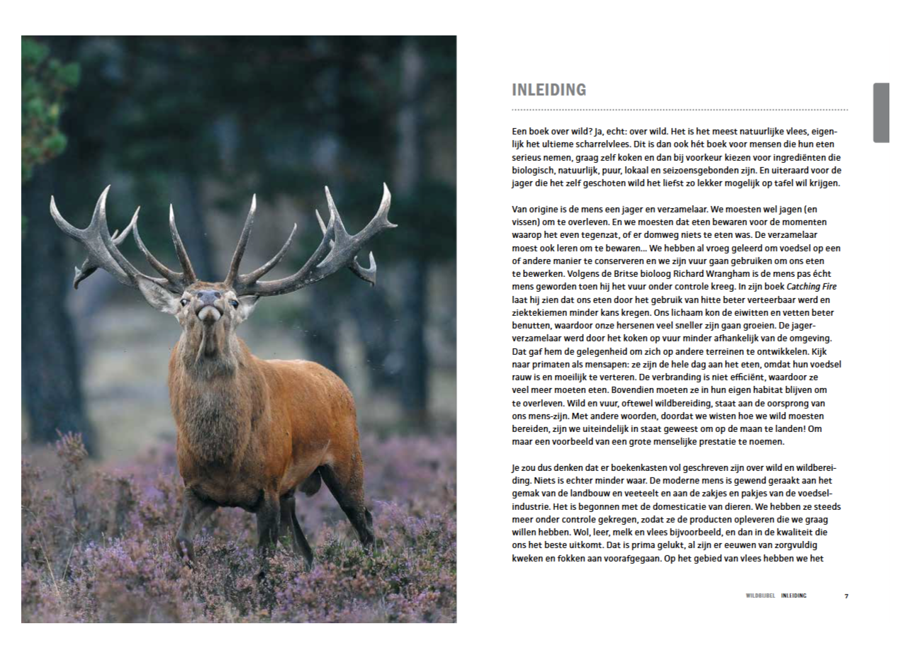 De Wildbijbel - Afbeelding 6