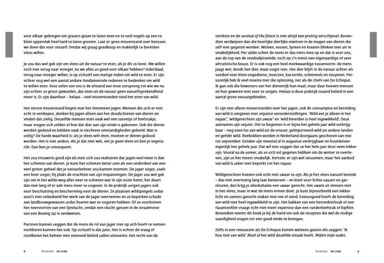 De Wildbijbel - Afbeelding 7