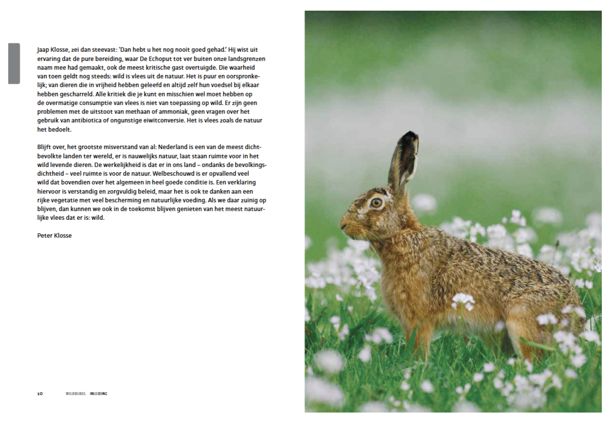 De Wildbijbel - Afbeelding 8