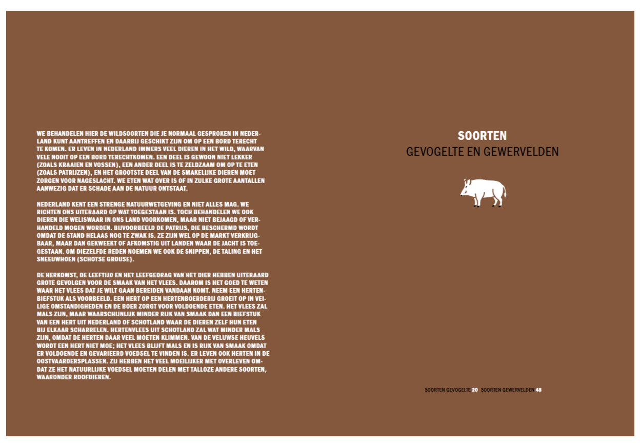 De Wildbijbel - Afbeelding 9