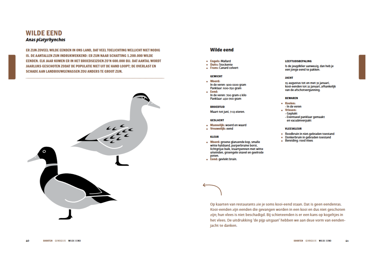 De Wildbijbel - Afbeelding 10