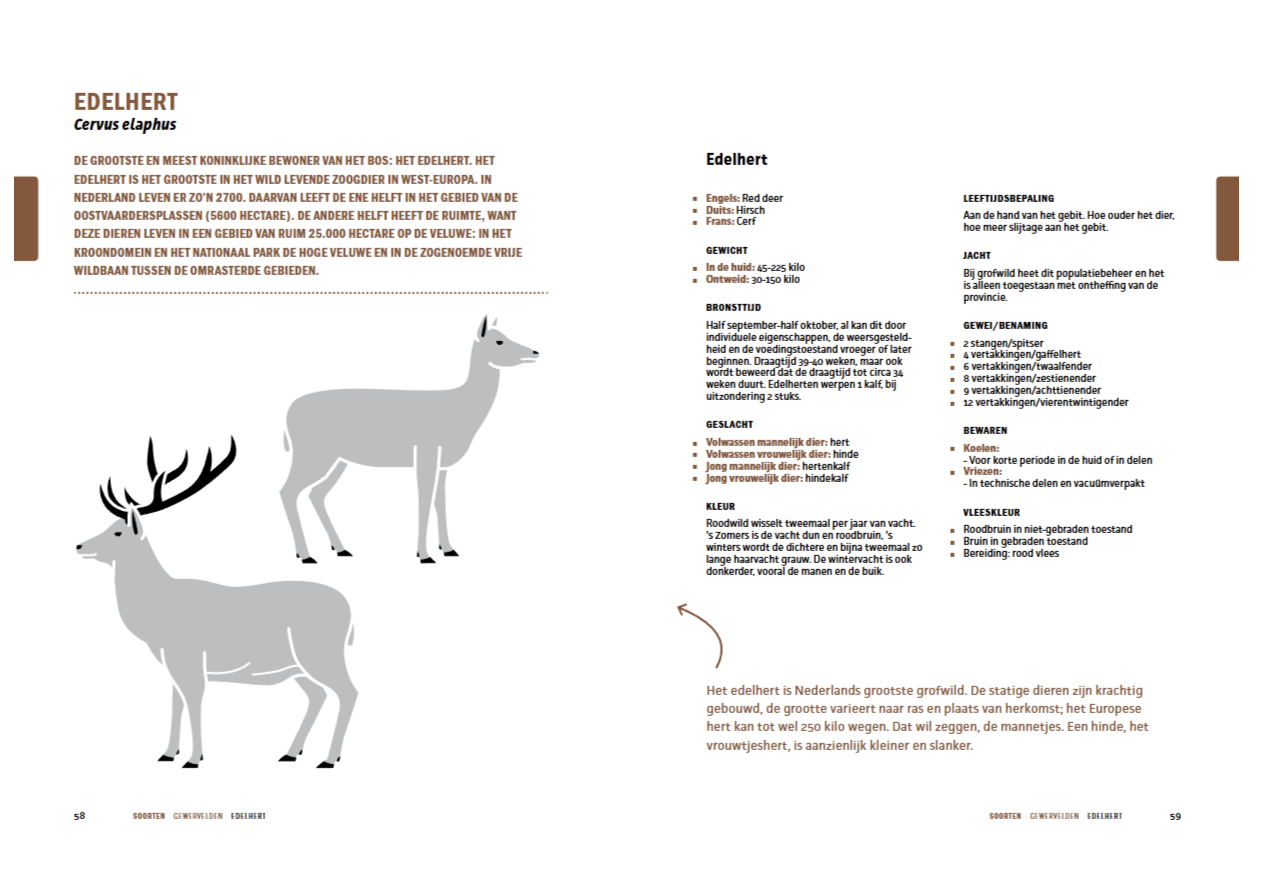 De Wildbijbel - Afbeelding 11