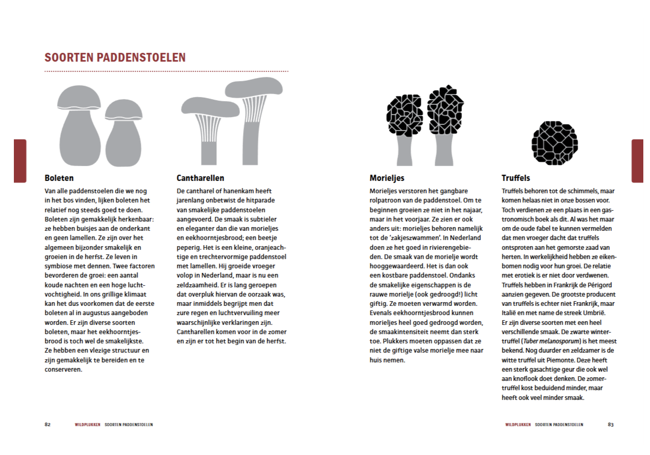 De Wildbijbel - Afbeelding 12