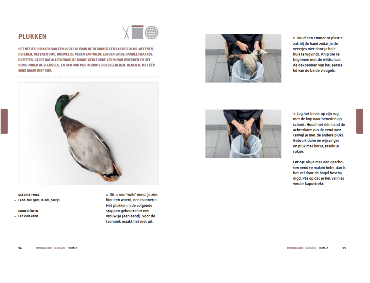 De Wildbijbel - Afbeelding 14