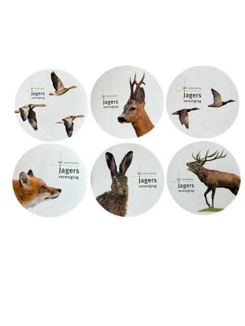 Stickerpakket | 12 ronde stickers met wildmotief