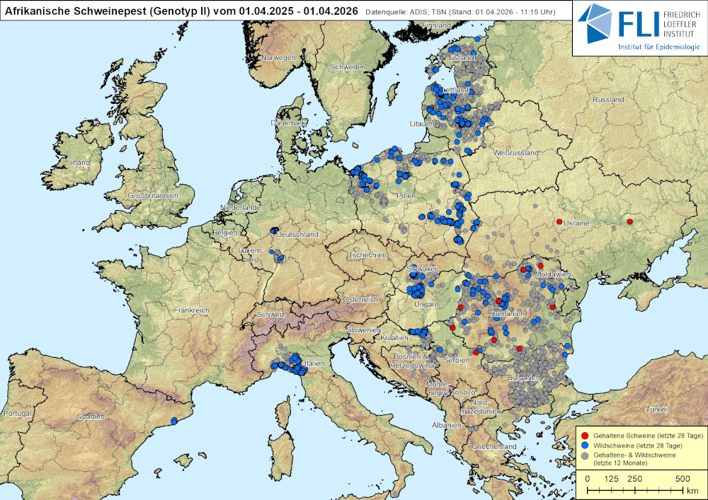 Kaart Afrikaanse varkenspest in Europa met uitbraken bij wilde zwijnen en gehouden varkens, stand 1 april 2026