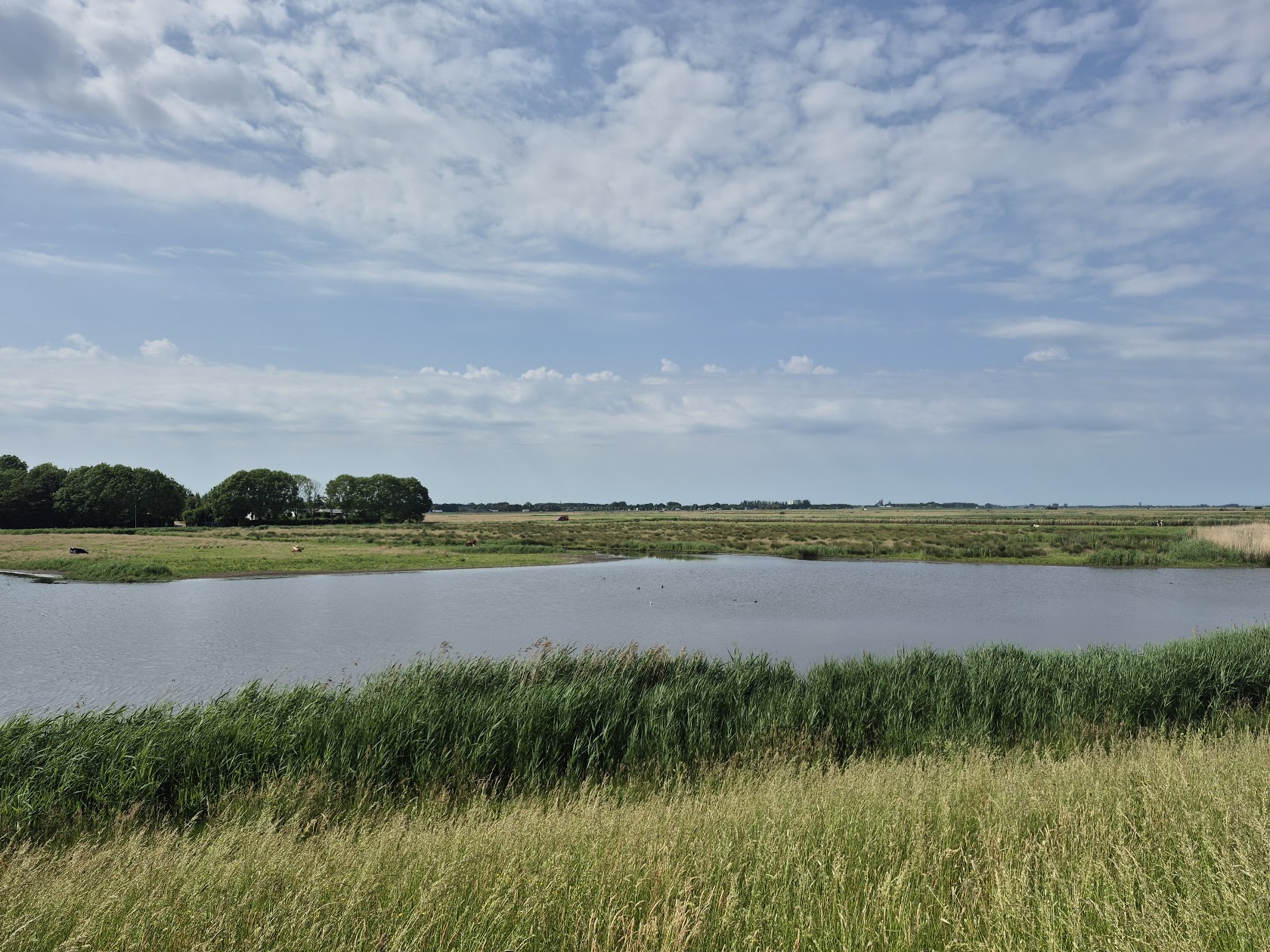 Polder Arkemheen