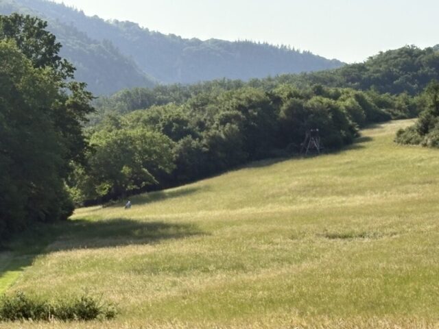 Foto 20