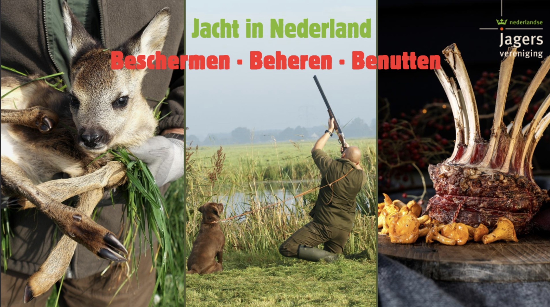 Presentatie Basisschool | Digitaal