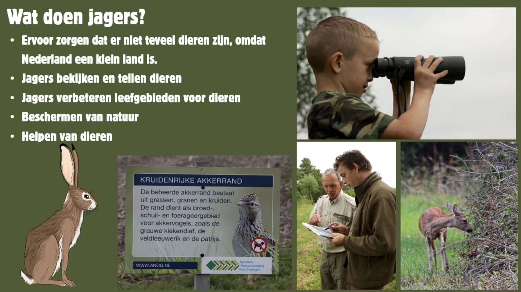 Presentatie Basisschool | Digitaal - Afbeelding 2